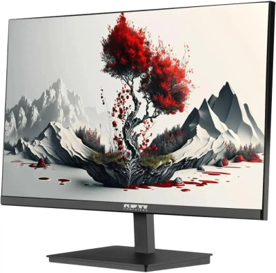 ������� RDW Computers 23.8" 2401K FHD IPS ������ 2401K/F00�3100V2A1H