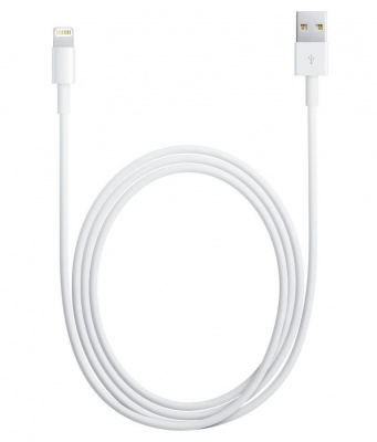 Apple MD818ZM/A Lightning  USB 1 