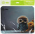Коврик для мыши Cactus Owl gray рисунок 300x250x3мм (CS-MPC-D12M) Коврик для мыши Cactus Owl gray рисунок 300x250x3мм (CS-MPC-D12M)
