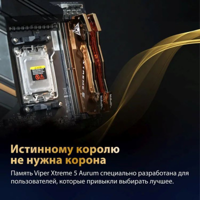 ����������� ������ Patriot Viper Xtreme 5 Aurum VXA564G6030K DDR5 - 2x 32�� 6000���, DIMM, Aurum, Ret