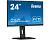  23.8" Iiyama ProLite XUB2492HSN-B5 