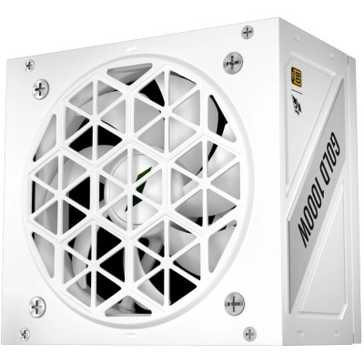 ���� ������� 1STPLAYER NGDP GOLD 1000W White / ATX 3.1, APFC, 80 PLUS Gold, LLC+DC-DC, full Japan solid-state caps, 120mm fan, full modular / HA-1000BA4-WH