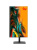 Моноблок iRU Tactio 24ID, 24.5" (1920x1080) IPS/Intel Core i5-12400/16 DDR4/512 ГБ SSD/Intel UHD Graphics/Windows 11 Pro, Черный (2170351) Моноблок iRU Tactio 24ID, 24.5" (1920x1080) IPS/Intel Core i5-12400/16 DDR4/512 ГБ SSD/Intel UHD Graphics/Windows 11 Pro, Черный (2170351)