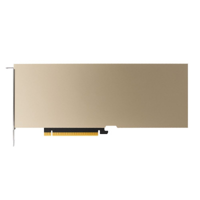 ����������� ���������� ���������� PNY NVIDIA Tesla A10 24Gb (TCSA10M-PB)