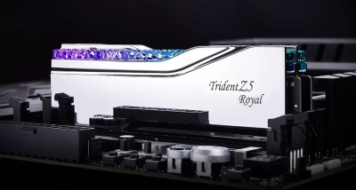 ������ ������ DDR5 G.SKILL TRIDENT Z5 ROYAL RGB 64GB (2x32GB) 6000MHz CL28 (28-36-36-96) 1.40V / F5-6000J2836G32GX2-TR5S