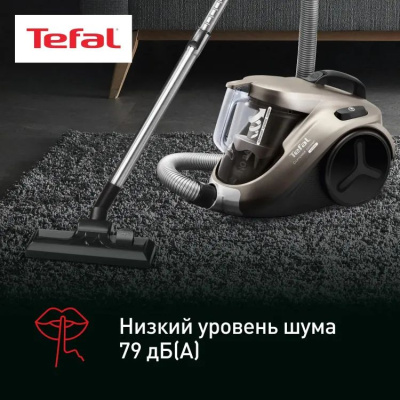 ������� Tefal TW3786RA 2100�� ������/����� (2211400063)